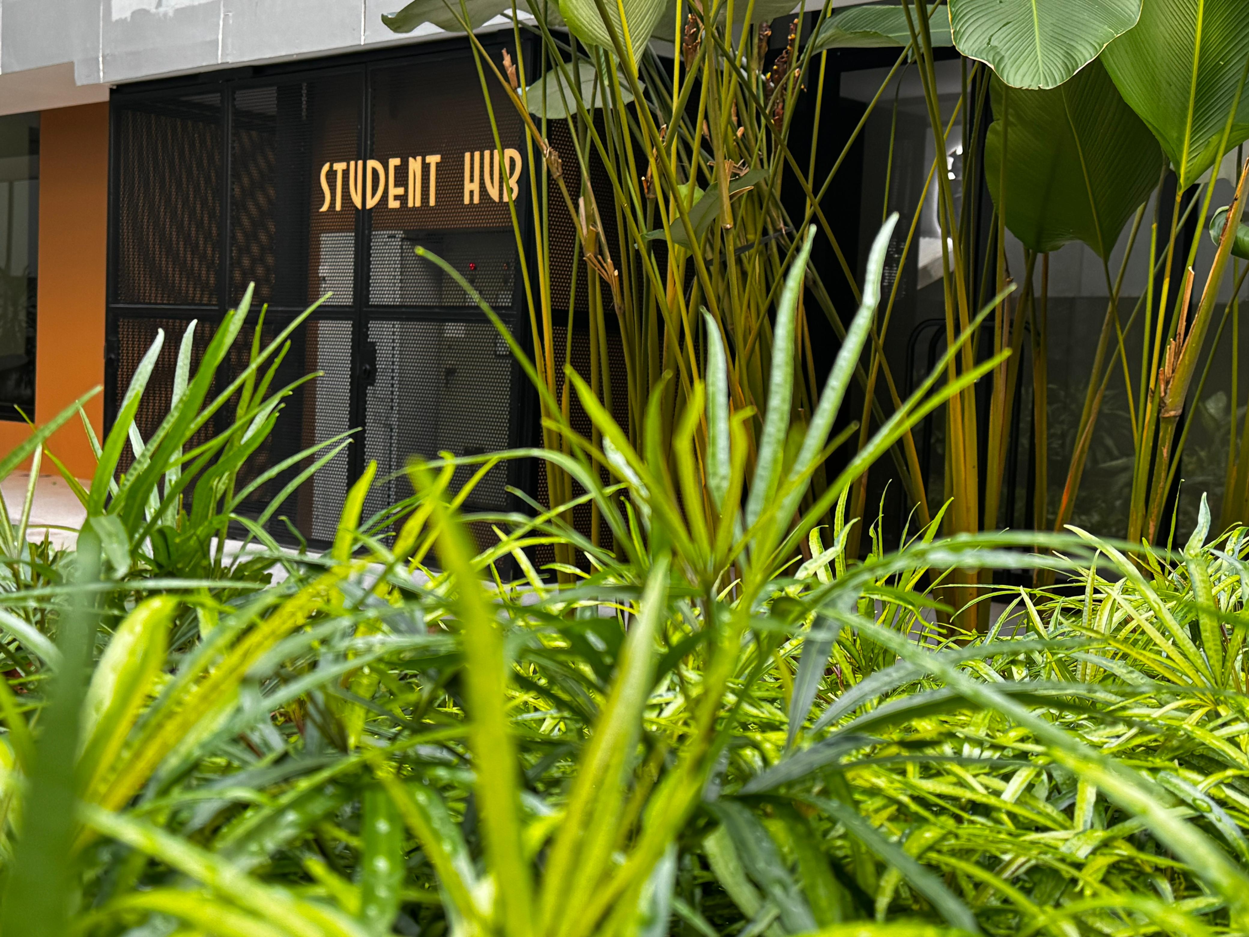 StudentHub
